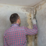 Mastery of Mold Management: A Methodical Guide for Expert Mold Inspection and Testing