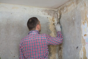 Mastery of Mold Management: A Methodical Guide for Expert Mold Inspection and Testing