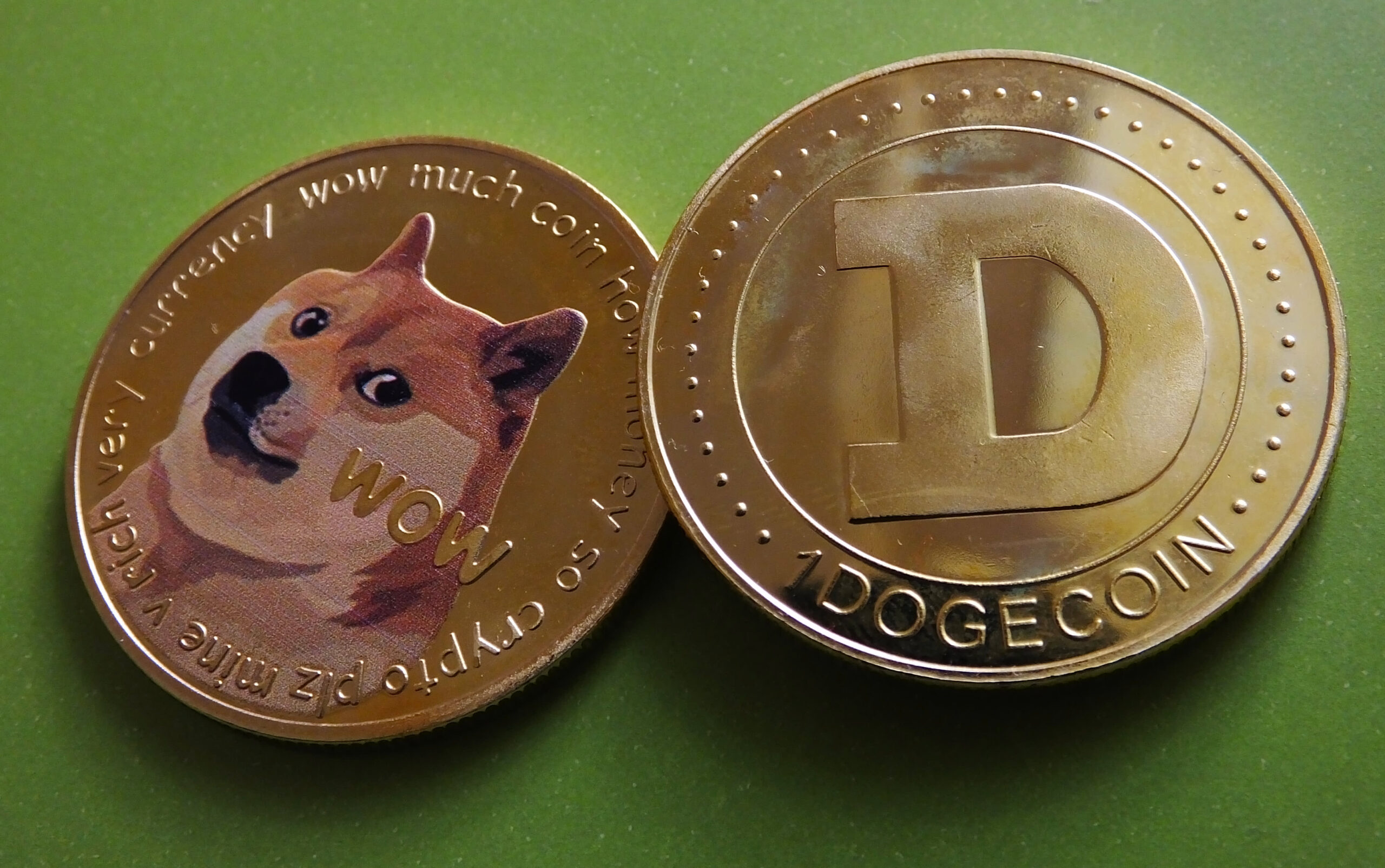 Future Prospects and Challenges Facing Dogecoin Adoption Globally
